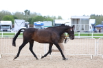 SBM_15256