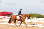 SBM_02625
