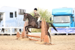 SBM_03598