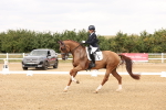 SBM_001388