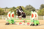 SBM_03844