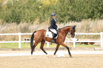 SBM_013213