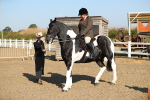 SBM_01178