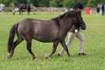 SIAL3166