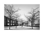 Winter - avenue des Tilleuls