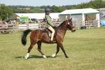 SBM_09254