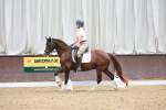 SBM_005384