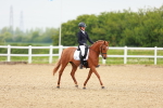 SBM_005201