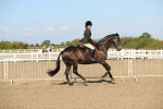 SBM_02229