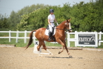 SBM_009487