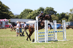 Class 9: Senior British Novice/90cm open portfolio