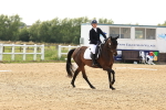 SBM_000681