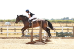 SBM_003952