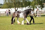SBM_08800