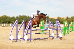 SBM_003601