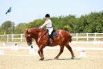 SBM_011805