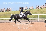 BPP_1658
