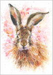 Hare Pink Day Fine Art Print 551