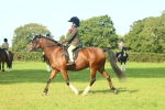 SBM_59932
