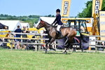 SBM_18150