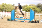 SBM_007398