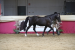 SBM_05031
