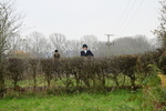 WJ6_7157