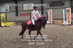 CLASS 4 50CM Novice Show Jumping portfolio