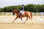 SBM_008053