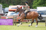 SBM_15038