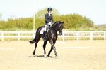 SBM_000217