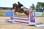 Cls 50 Chard 5 year olds Champ portfolio