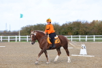 SBM_000837