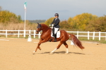 SBM_009341