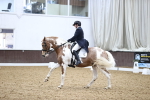 SBM_006973