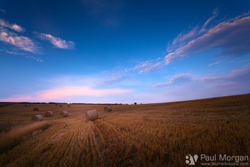 Late Harvest