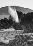 Blow Hole