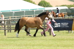 SBM_02405