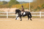 SBM_010466