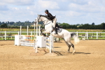 SBM_003287