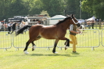 SBM_02335