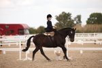 SBM_05332