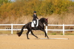 SBM_009374