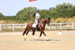 SBM_012043