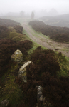 Stanton Moor The Corkstone
