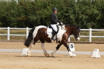 SBM_000445