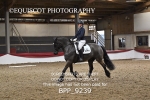 BPP_9239