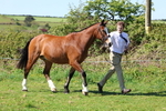 Class 16: Best Grass Kept portfolio