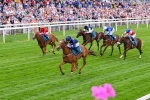 260725-Race 1-Golden Palace-7103