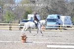 BPP_9546